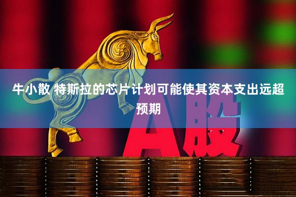 牛小散 特斯拉的芯片计划可能使其资本支出远超预期