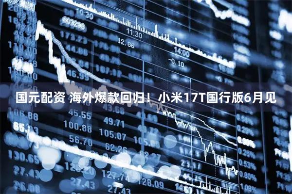 国元配资 海外爆款回归！小米17T国行版6月见