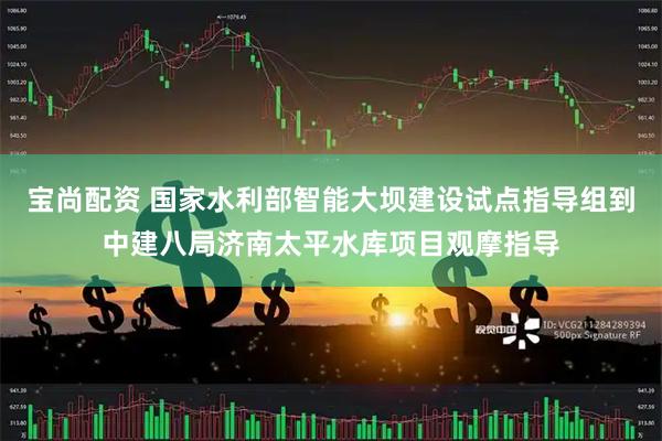 宝尚配资 国家水利部智能大坝建设试点指导组到中建八局济南太平水库项目观摩指导