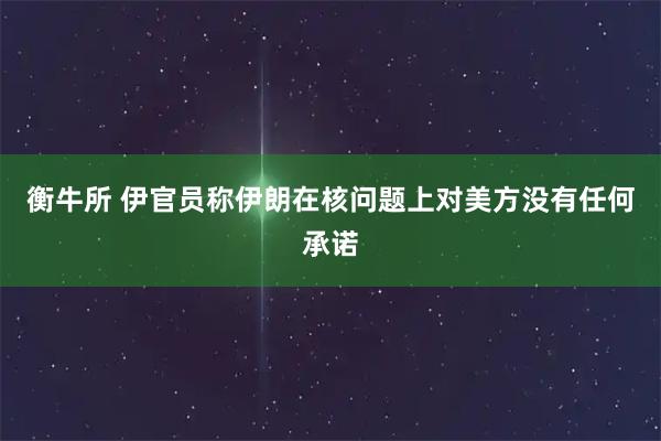 衡牛所 伊官员称伊朗在核问题上对美方没有任何承诺