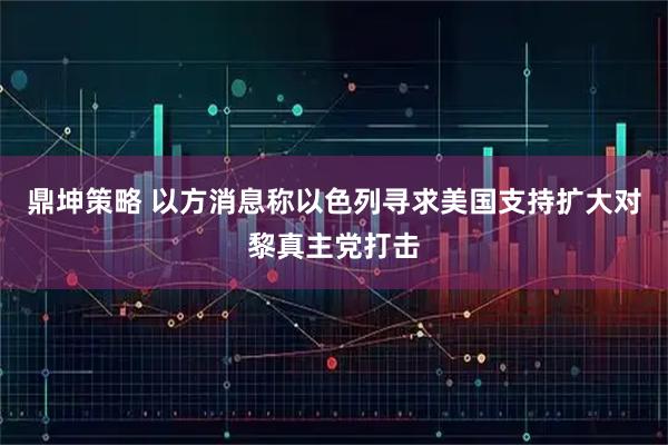 鼎坤策略 以方消息称以色列寻求美国支持扩大对黎真主党打击
