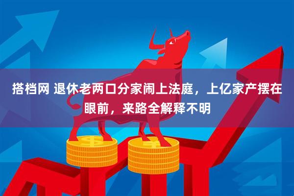 搭档网 退休老两口分家闹上法庭，上亿家产摆在眼前，来路全解释不明