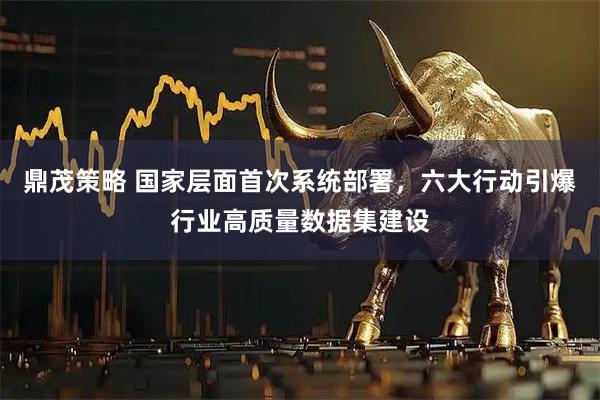 鼎茂策略 国家层面首次系统部署，六大行动引爆行业高质量数据集建设