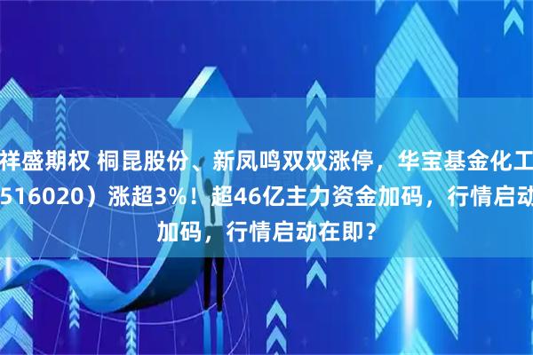 祥盛期权 桐昆股份、新凤鸣双双涨停，华宝基金化工ETF（516020）涨超3%！超46亿主力资金加码，行情启动在即？