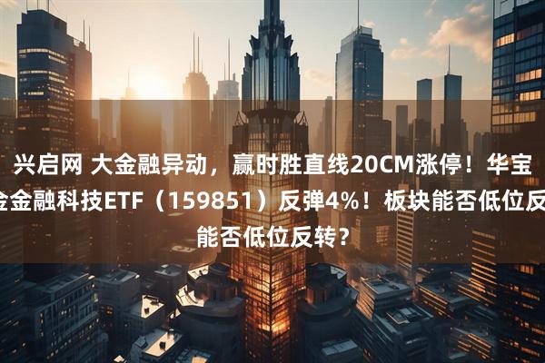 兴启网 大金融异动，赢时胜直线20CM涨停！华宝基金金融科技ETF（159851）反弹4%！板块能否低位反转？