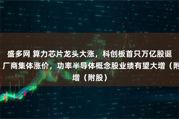 盛多网 算力芯片龙头大涨，科创板首只万亿股诞生！厂商集体涨价，功率半导体概念股业绩有望大增（附股）