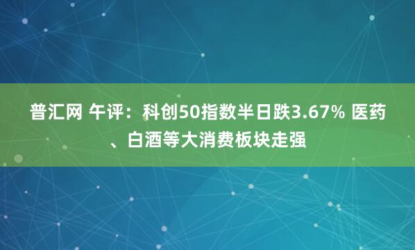普汇网 午评：科创50指数半日跌3.67% 医药、白酒等大消费板块走强